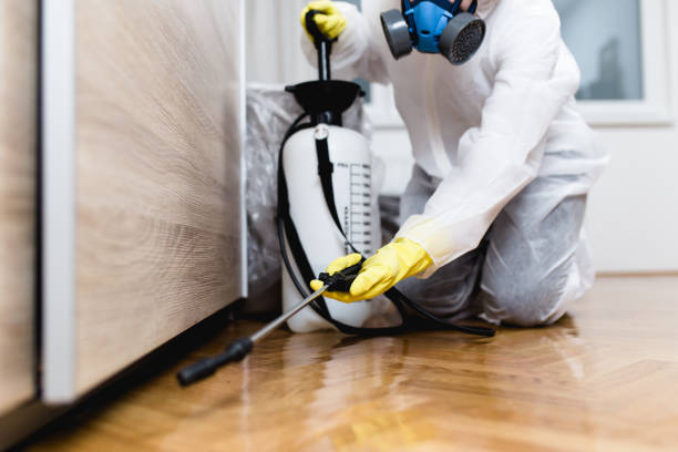 Best Pest Control Near Me in Woodville, WI