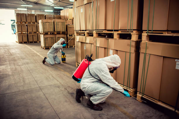 Best Emergency Pest Control  in Woodville, WI