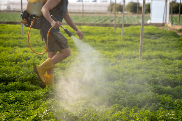 Reliable Woodville, WI Pest Control Solutions