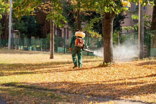 Best Commercial Pest Control Services  in Woodville, WI