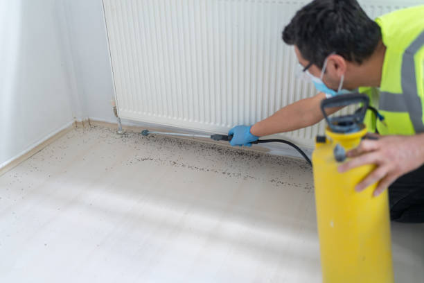 Best Affordable Pest Control Services  in Woodville, WI