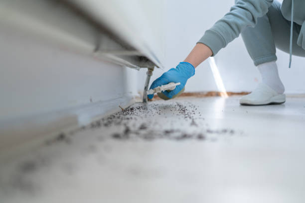 Best Emergency Pest Control  in Woodville, WI